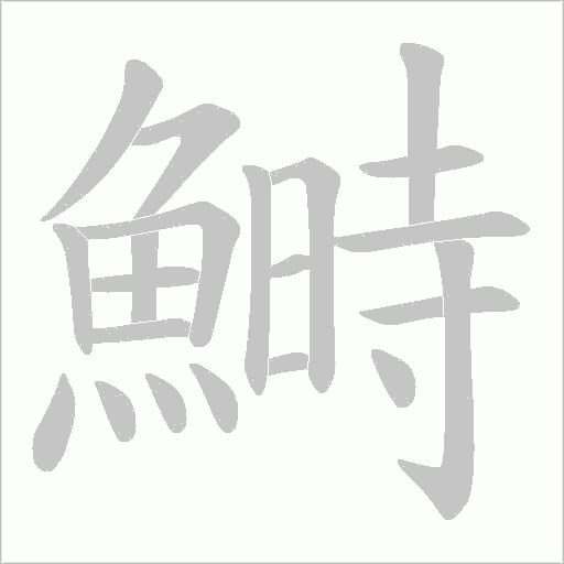 鰣字动态笔顺演示