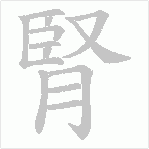 腎字动态笔顺演示