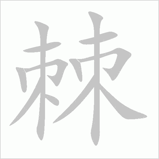 棘字动态笔顺演示