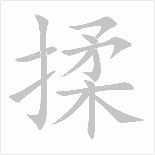 揉字动态笔顺演示
