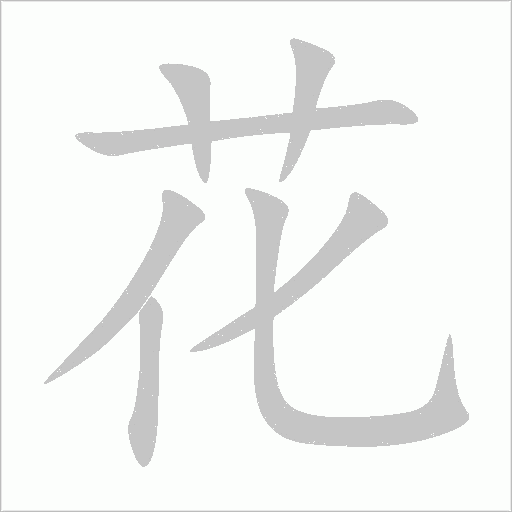花字动态笔顺演示