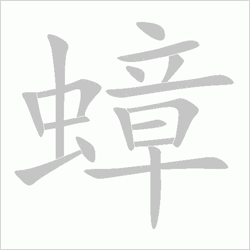 寨字动态笔顺演示