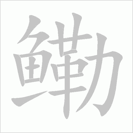鳓字动态笔顺演示