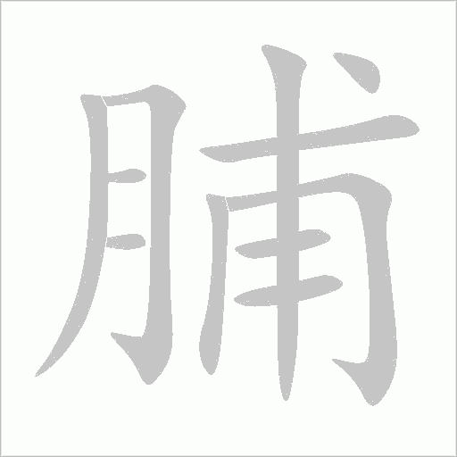 脯字动态笔顺演示
