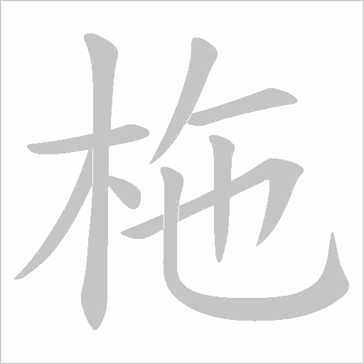 柂字动态笔顺演示