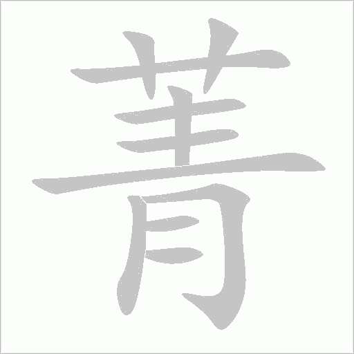 菁字动态笔顺演示