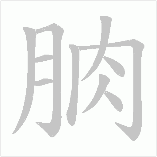 朒字动态笔顺演示