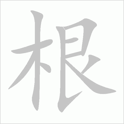 根字动态笔顺演示