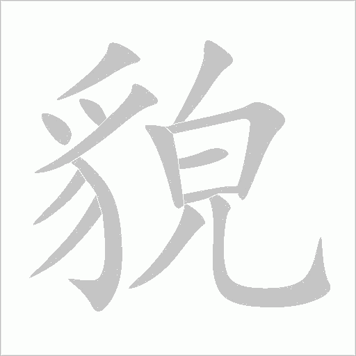 貌字动态笔顺演示
