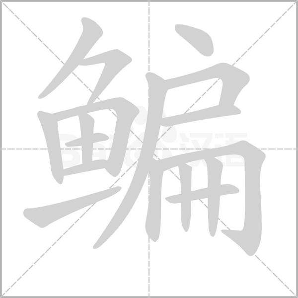 鳊字动态笔顺演示