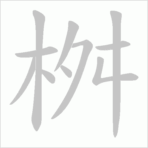 桝字动态笔顺演示