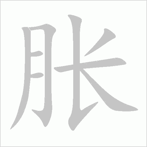胀字动态笔顺演示