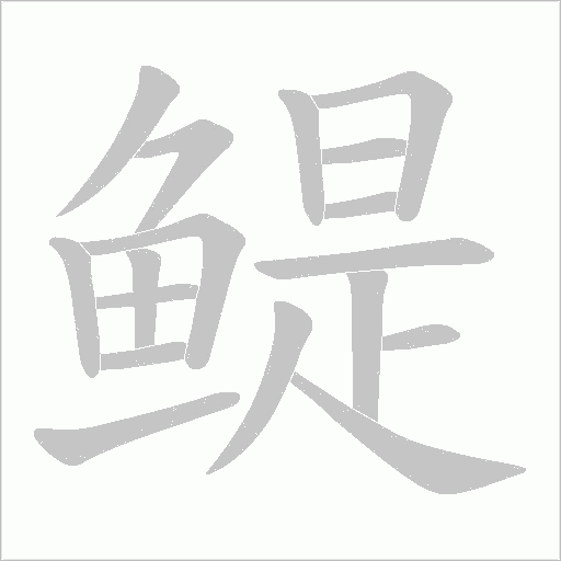 鳀字动态笔顺演示