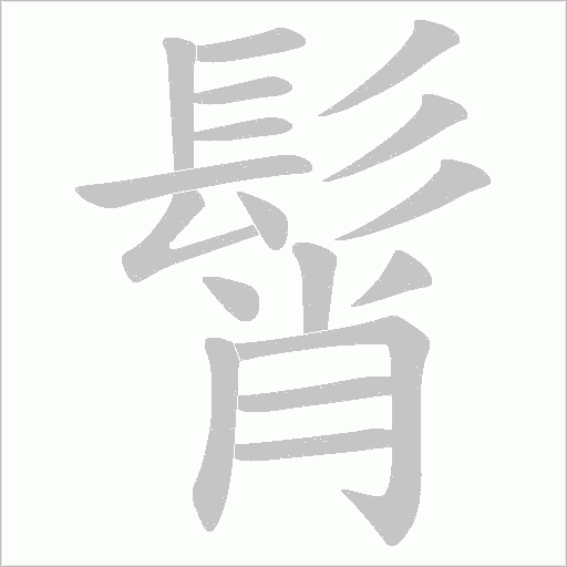 髾字动态笔顺演示