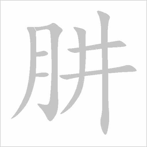 肼字动态笔顺演示