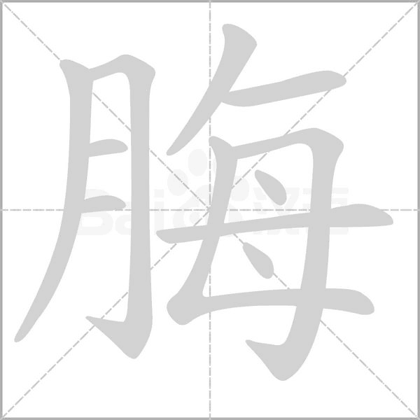 脢字动态笔顺演示