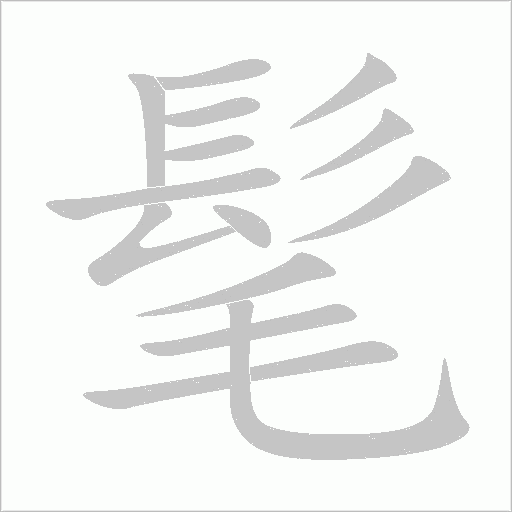髦字动态笔顺演示