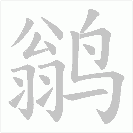 鹟字动态笔顺演示