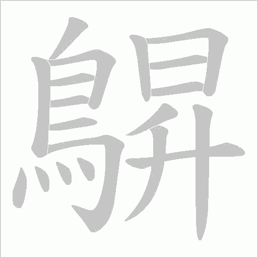 鵿字动态笔顺演示
