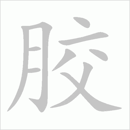 胶字动态笔顺演示