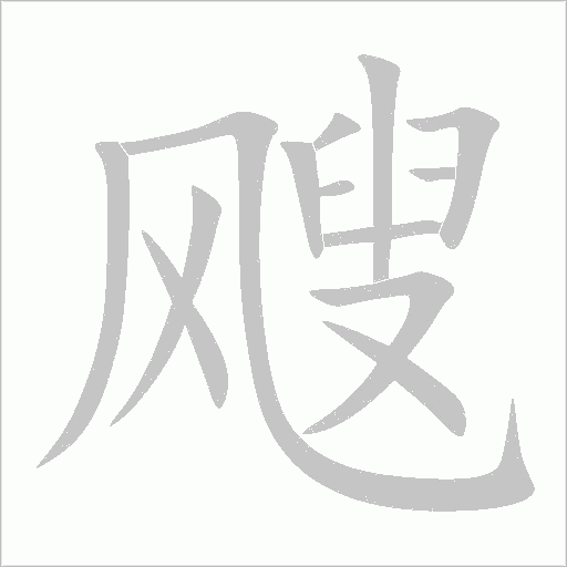 飕字动态笔顺演示