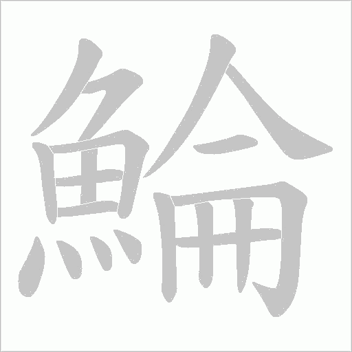 鯩字动态笔顺演示