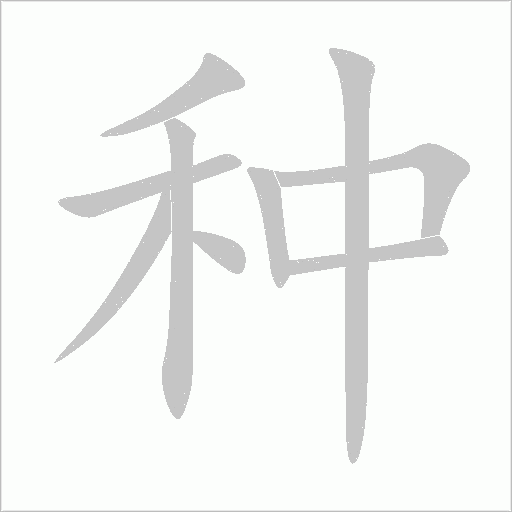 种字动态笔顺演示