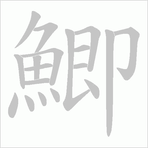 鯽字动态笔顺演示