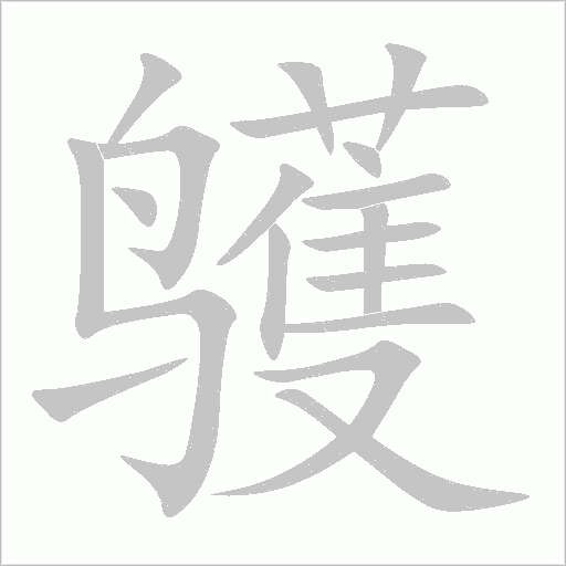 鹱字动态笔顺演示