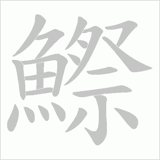 鰶字动态笔顺演示
