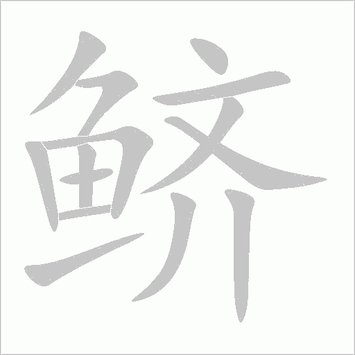 鲚字动态笔顺演示