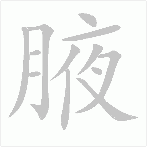 腋字动态笔顺演示