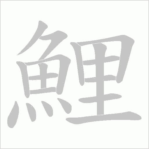 鯉字动态笔顺演示