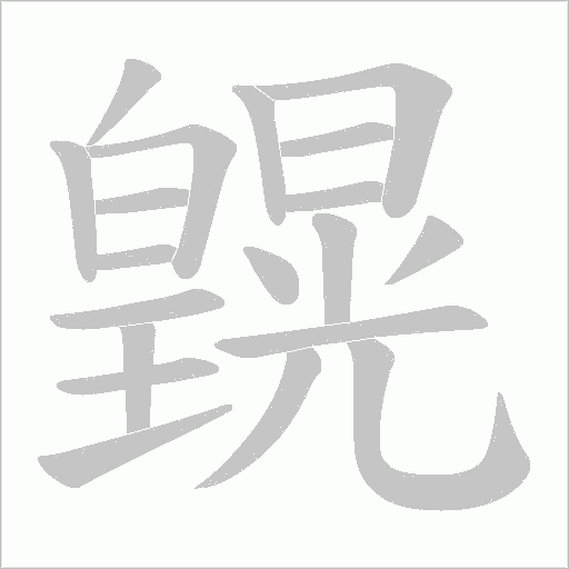 皩字动态笔顺演示