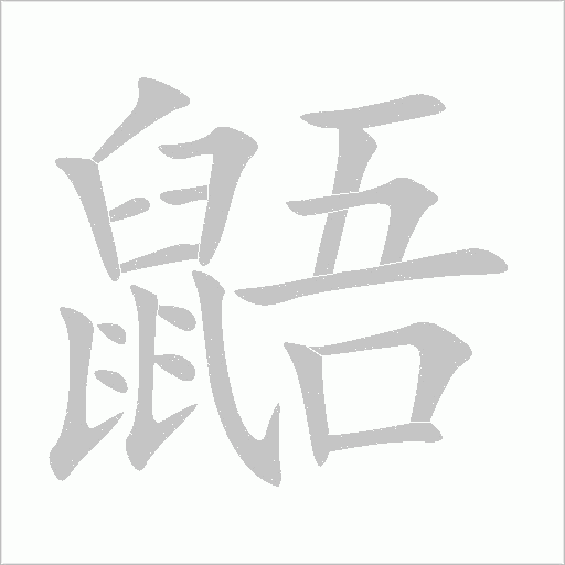 鼯字动态笔顺演示