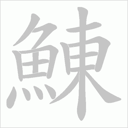 鯟字动态笔顺演示