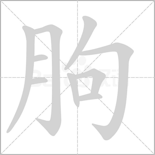 朐字动态笔顺演示