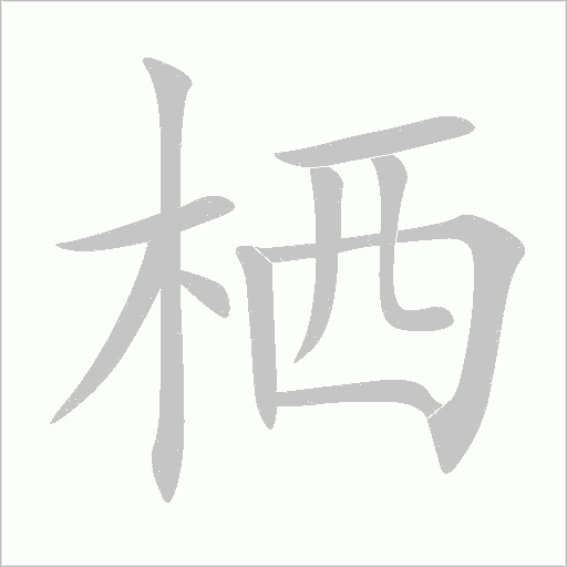 栖字动态笔顺演示