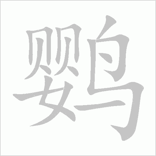 鹦字动态笔顺演示