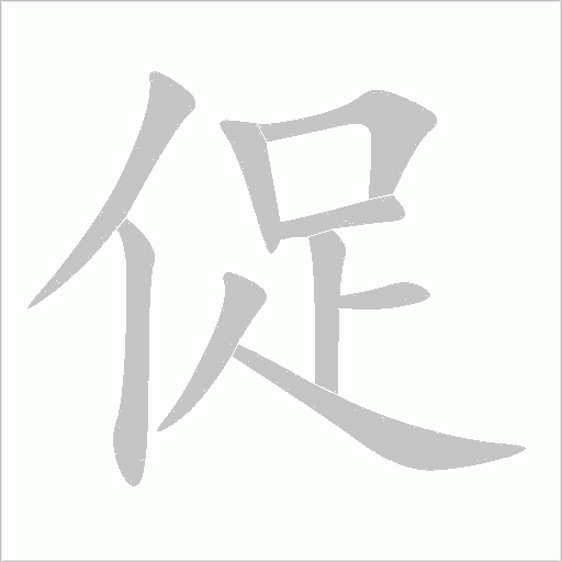 促字动态笔顺演示