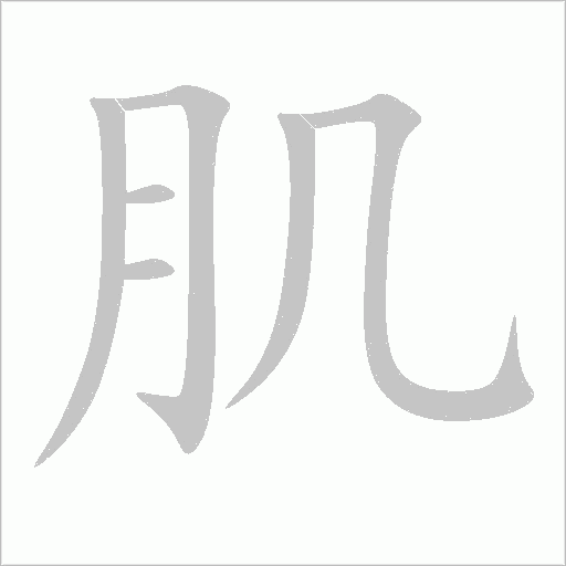 肌字动态笔顺演示