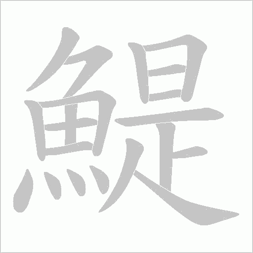 鯷字动态笔顺演示