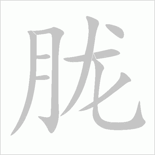 胧字动态笔顺演示