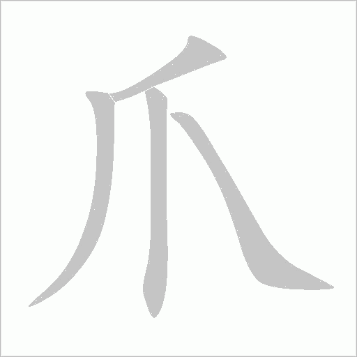 爪字动态笔顺演示