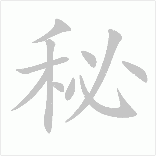 秘字动态笔顺演示