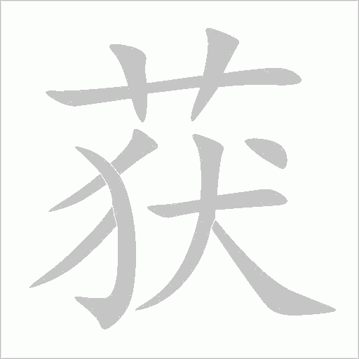 获字动态笔顺演示