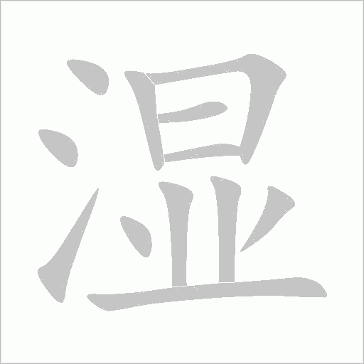 湿字动态笔顺演示
