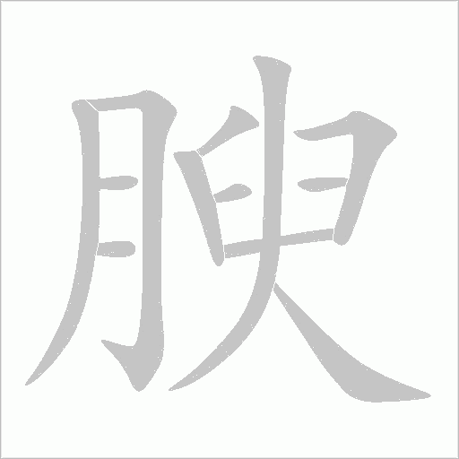 腴字动态笔顺演示