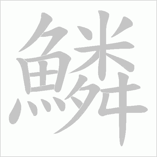 鱗字动态笔顺演示