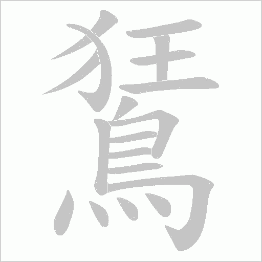 鵟字动态笔顺演示